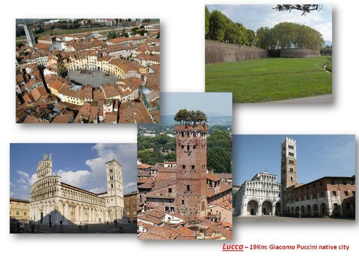 Altido Apt For 8 With Huge Terrace In Old Town Of Viareggio Exterior photo