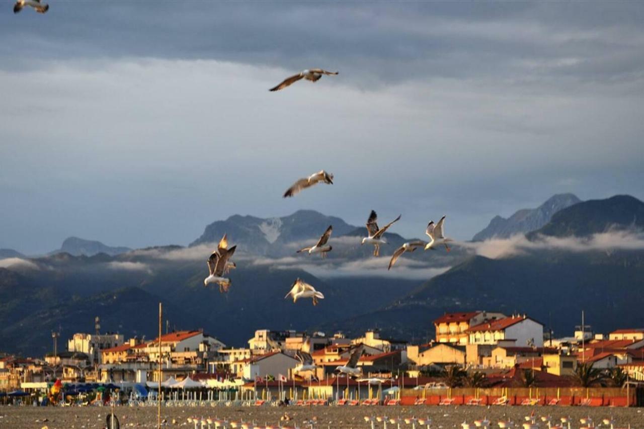 Altido Apt For 8 With Huge Terrace In Old Town Of Viareggio Exterior photo